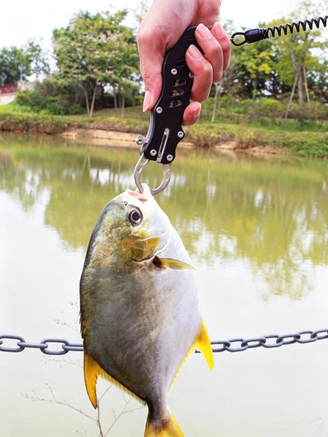 Multifunctional Stainless Stee - Fishing Line Cutter review and price